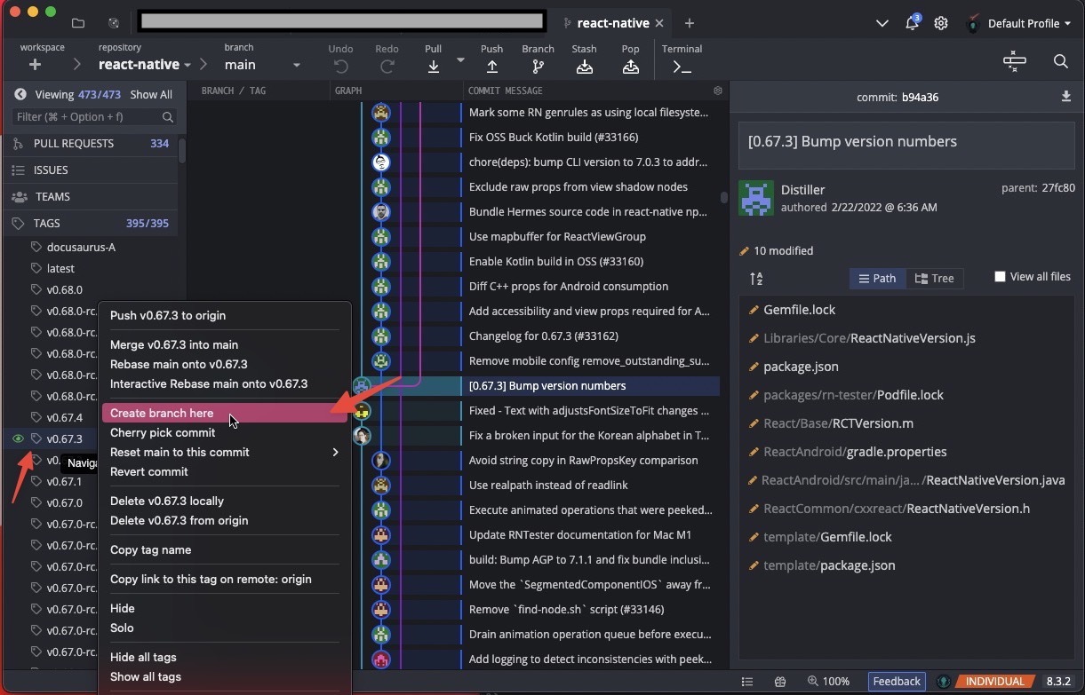 Branch and Commit History